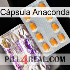 Cápsula Anaconda new12